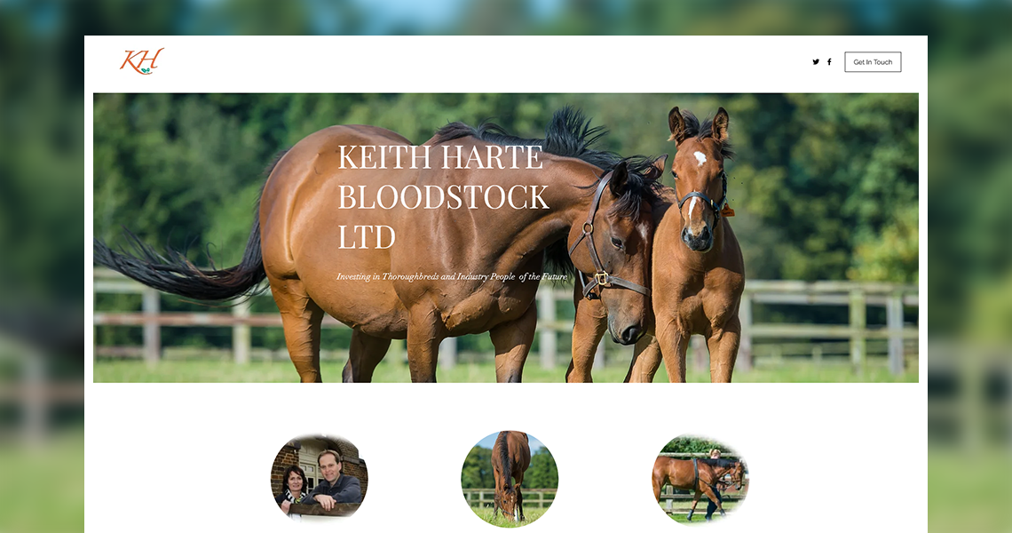 Stable Management System - Our Work